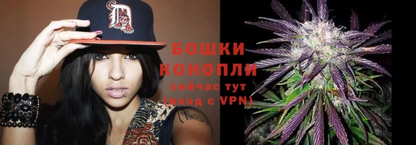 mix Горнозаводск