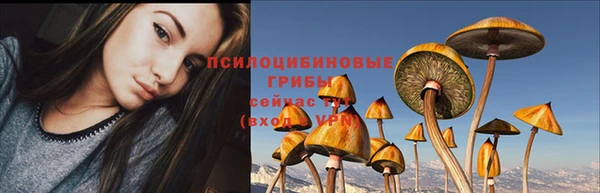 тгк Горняк