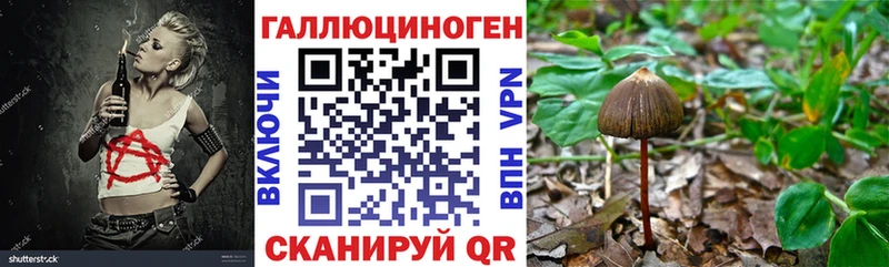 Псилоцибиновые грибы мицелий  Купить закладки  Кашин 