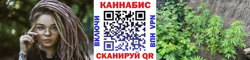 Шишки марихуана SATIVA & INDICA  Купить  Кашин 